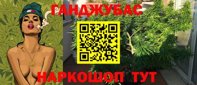mdpv Новокубанск