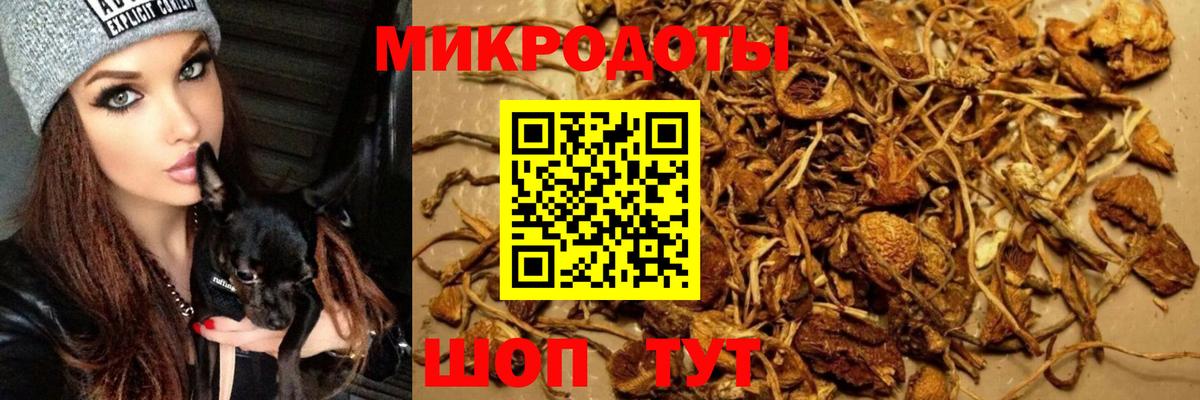 Галлюциногенные грибы ЛСД Сосновоборск