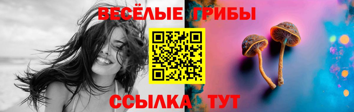 Псилоцибиновые грибы Psilocybe  Галлюциногенные грибы Psilocybe  Сосновоборск  закладки  Вход с VPN 