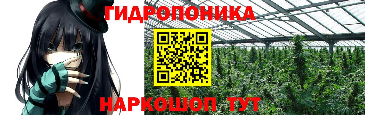 МАРИХУАНА конопля Сосновоборск
